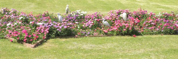 chunkachan2 Profile Banner