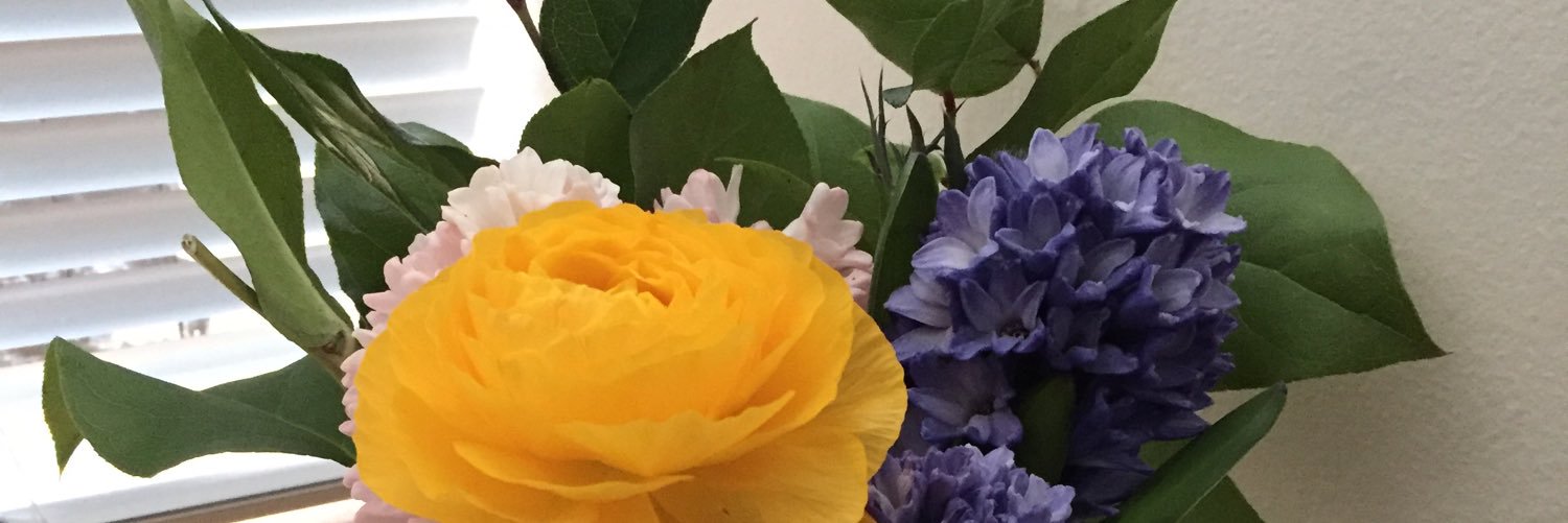 Alee7210's profile banner image