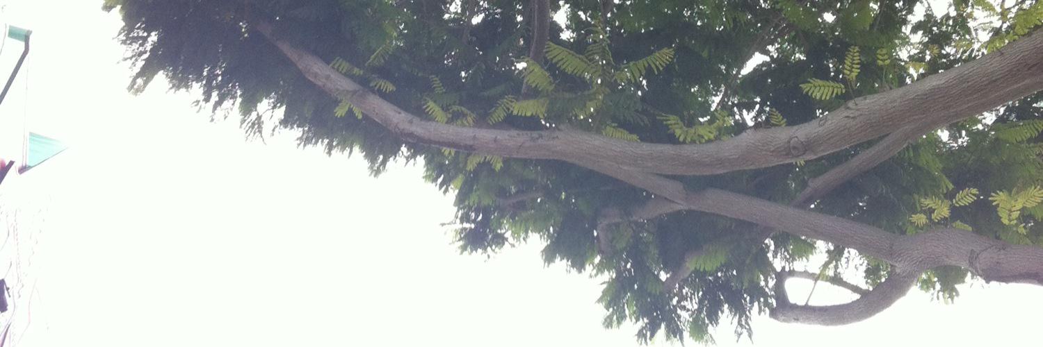 thoughtbooks's profile banner image