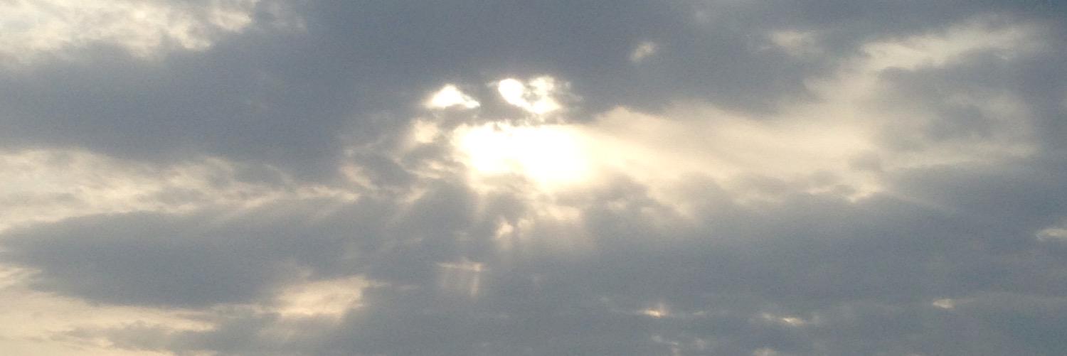 mmjir0's profile banner image