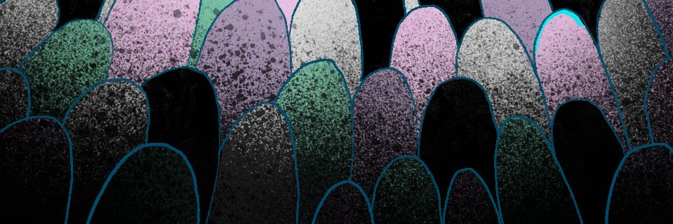 fiwabo1's profile banner image