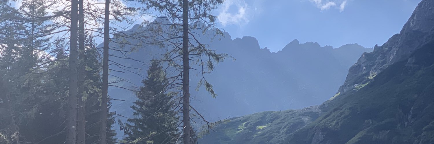 JElizabethWhite's profile banner image