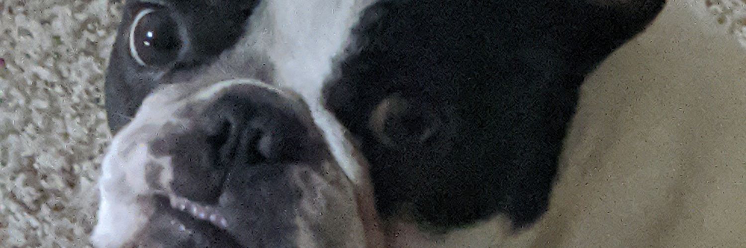Ryn001's profile banner image