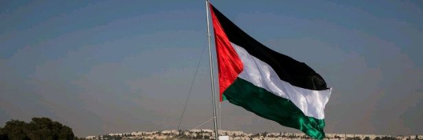 ShafiqaJawad's profile banner image