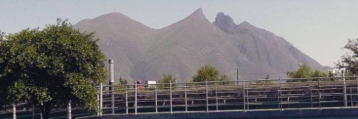 wawazepeda's profile banner image