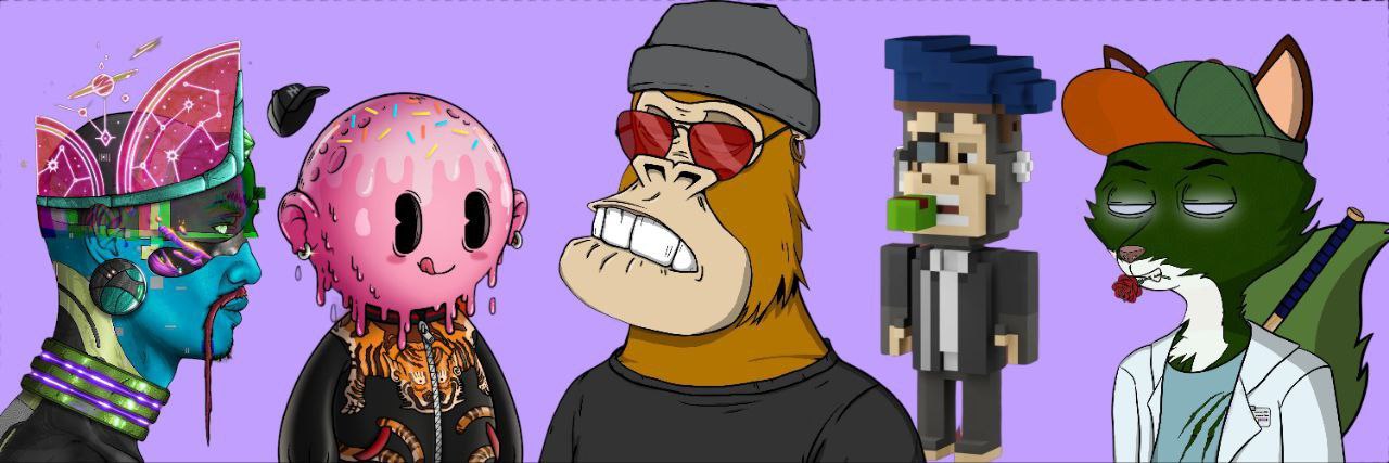 Doctor8 banner