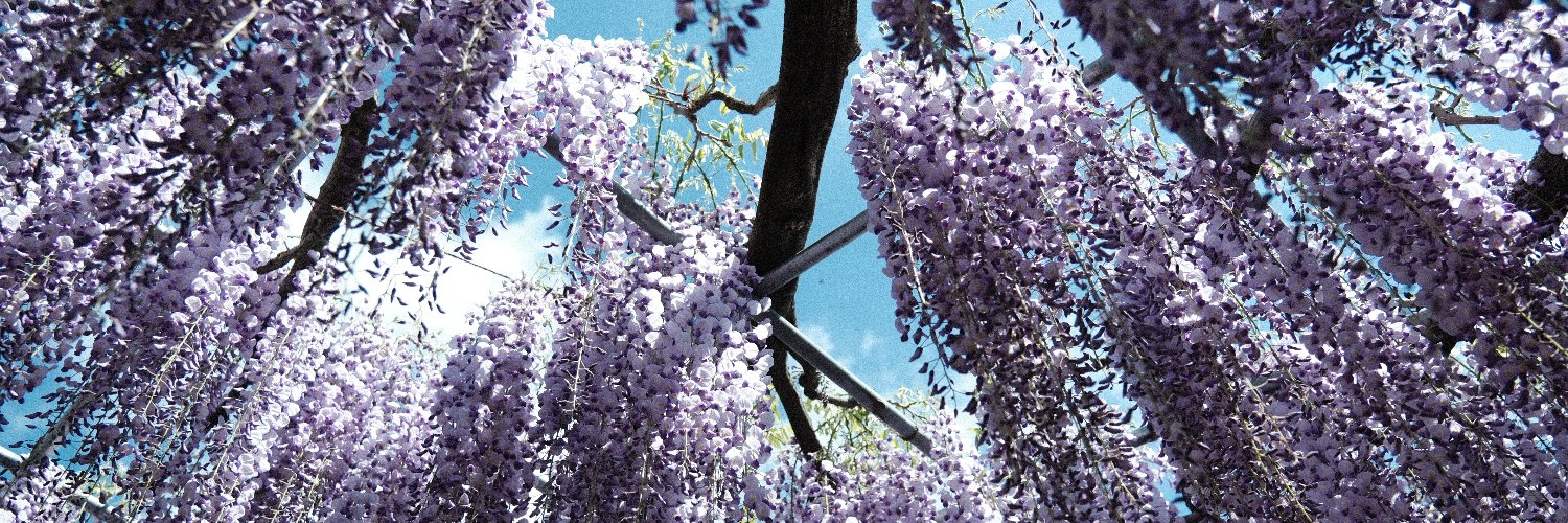 harahorohirehare（はるほろ） banner