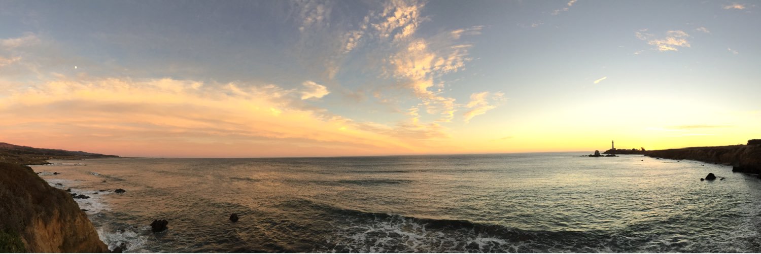 PiChick09's profile banner image
