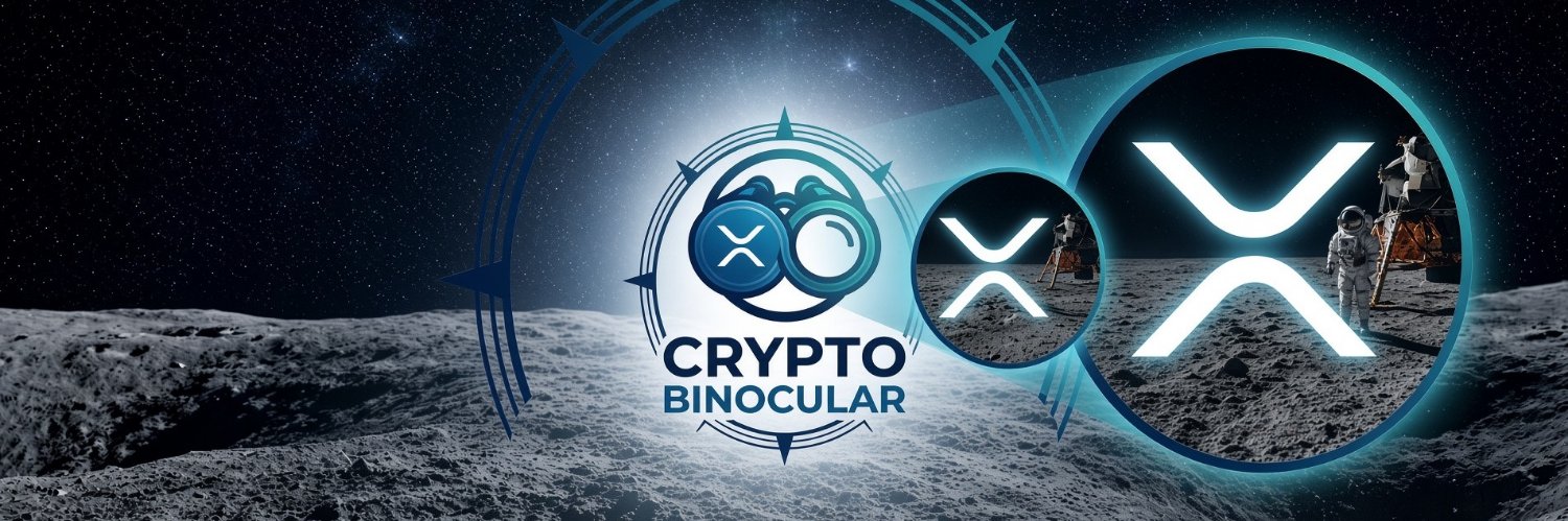 cryptobinocular's profile banner image