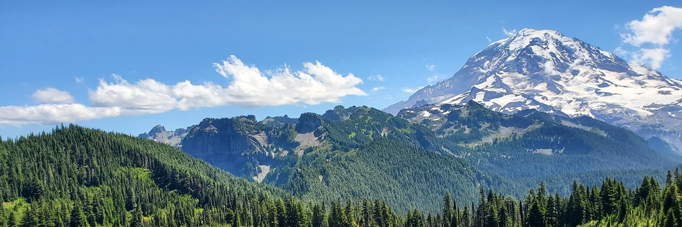 🏒⚓️ Stuuuuuuu ⚓️🏒 banner