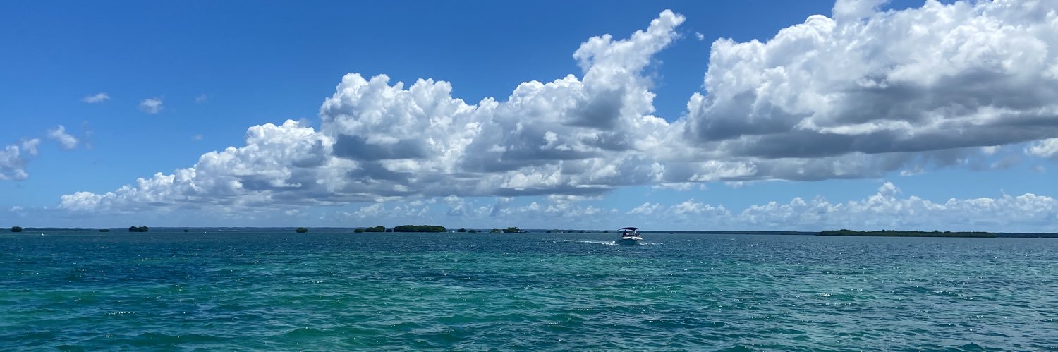 Mimiilaa7's profile banner image