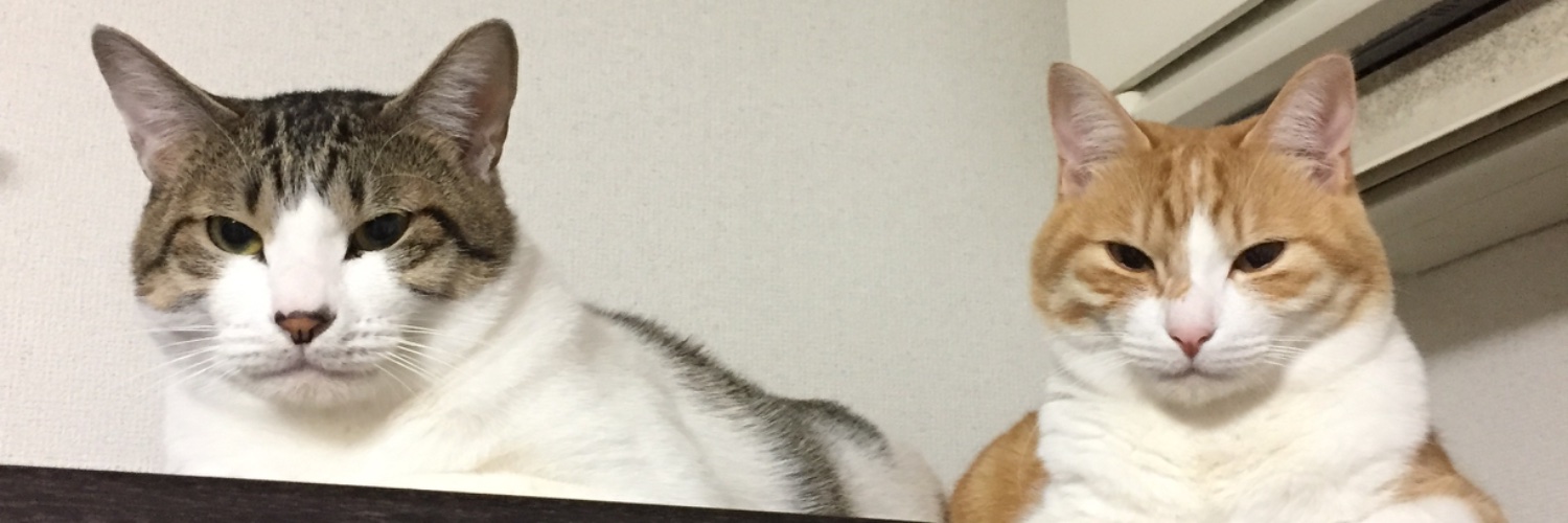 tarutaru_source's profile banner image