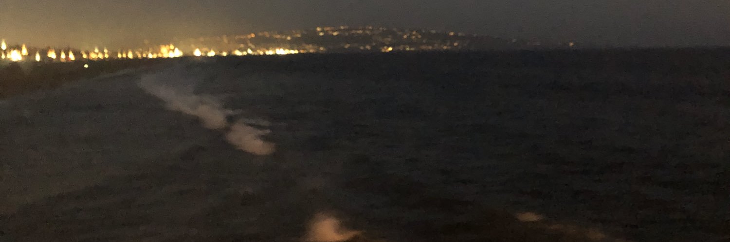 lordmastermeech's profile banner image