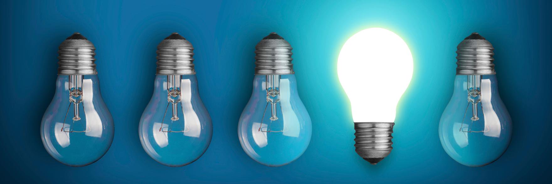 Amélie de Vomécourt banner