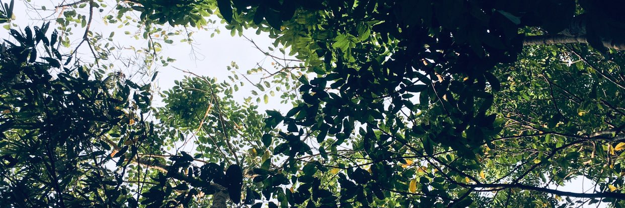 derick_deguzman's profile banner image