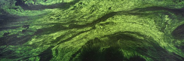 ErieSituation Profile Banner