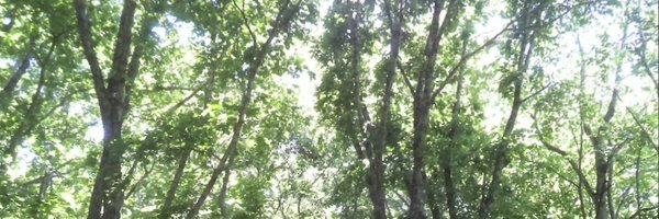 SarahGreen_9 Profile Banner