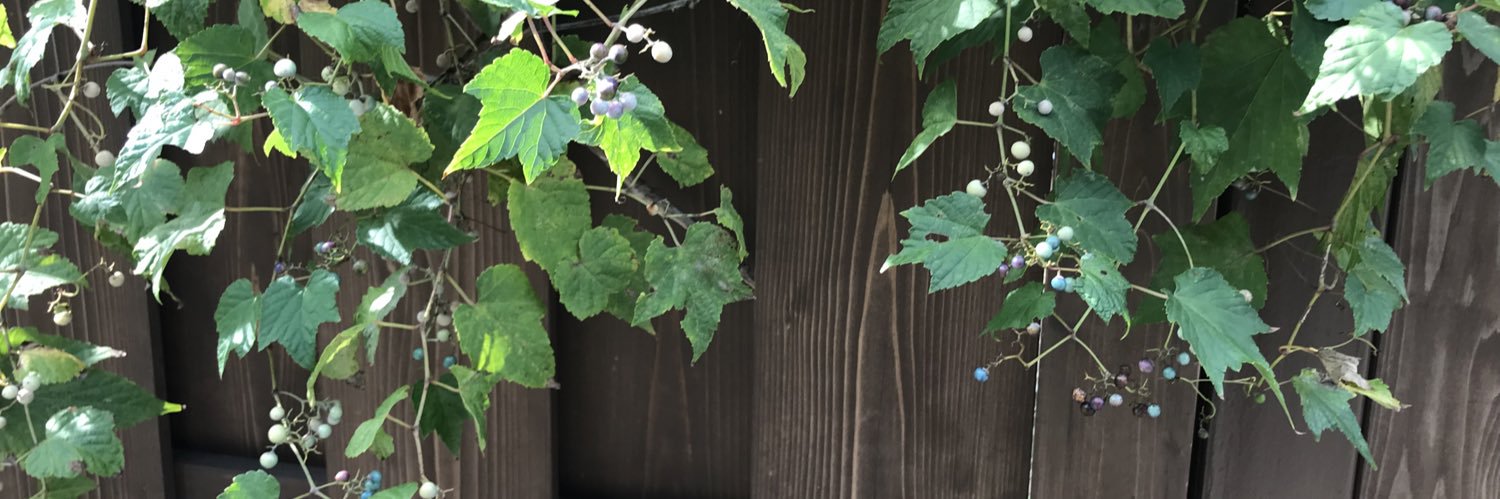 favorite_w's profile banner image