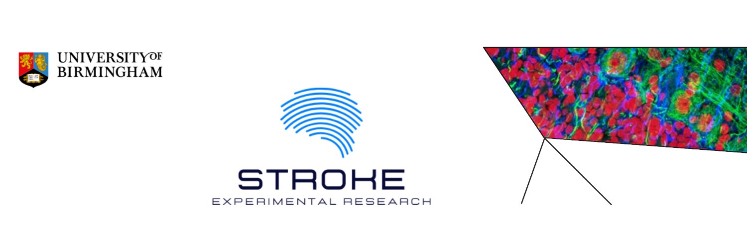 𝘔𝘪𝘤𝘩𝘦𝘭𝘢𝘯𝘨𝘦𝘭𝘰 𝘊𝘦𝘳𝘵𝘰 banner