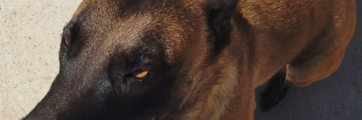 tthscosta's profile banner image