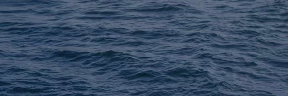 webkit_11's profile banner image