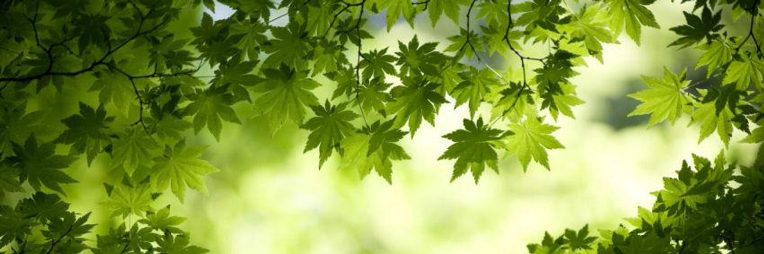 i_amsom's profile banner image