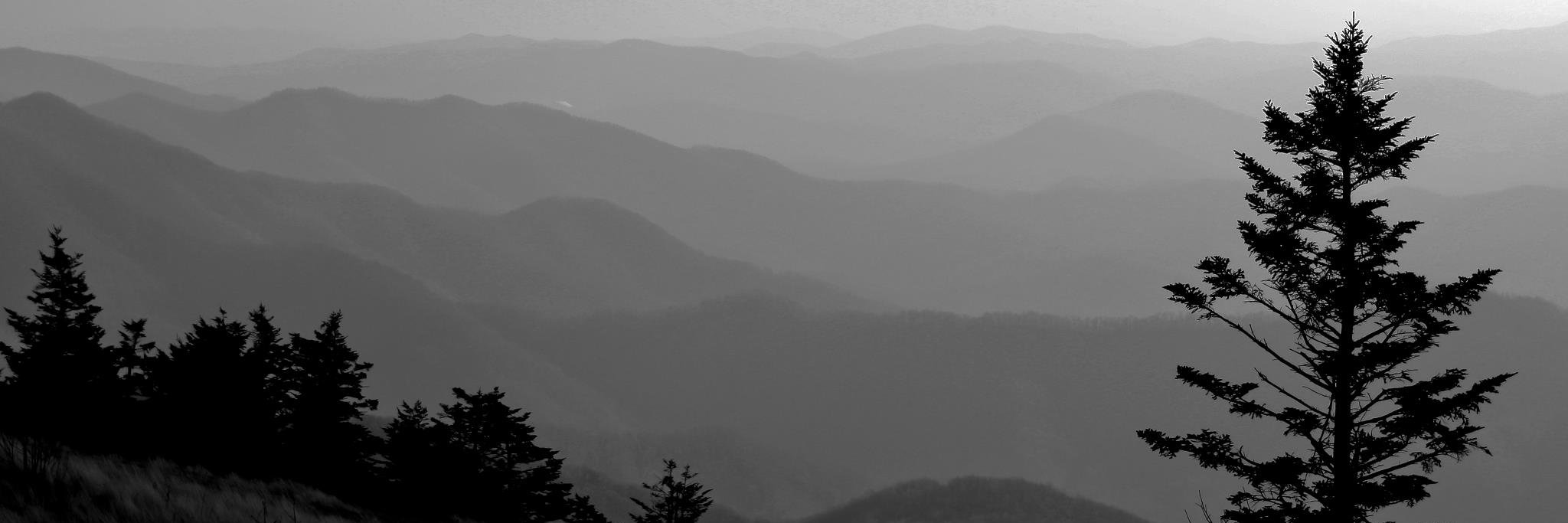 mjvGeo's profile banner image