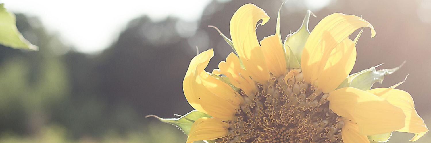 tcausby's profile banner image