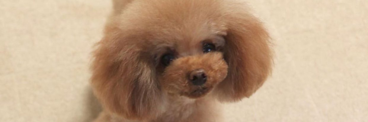 ㅤ banner