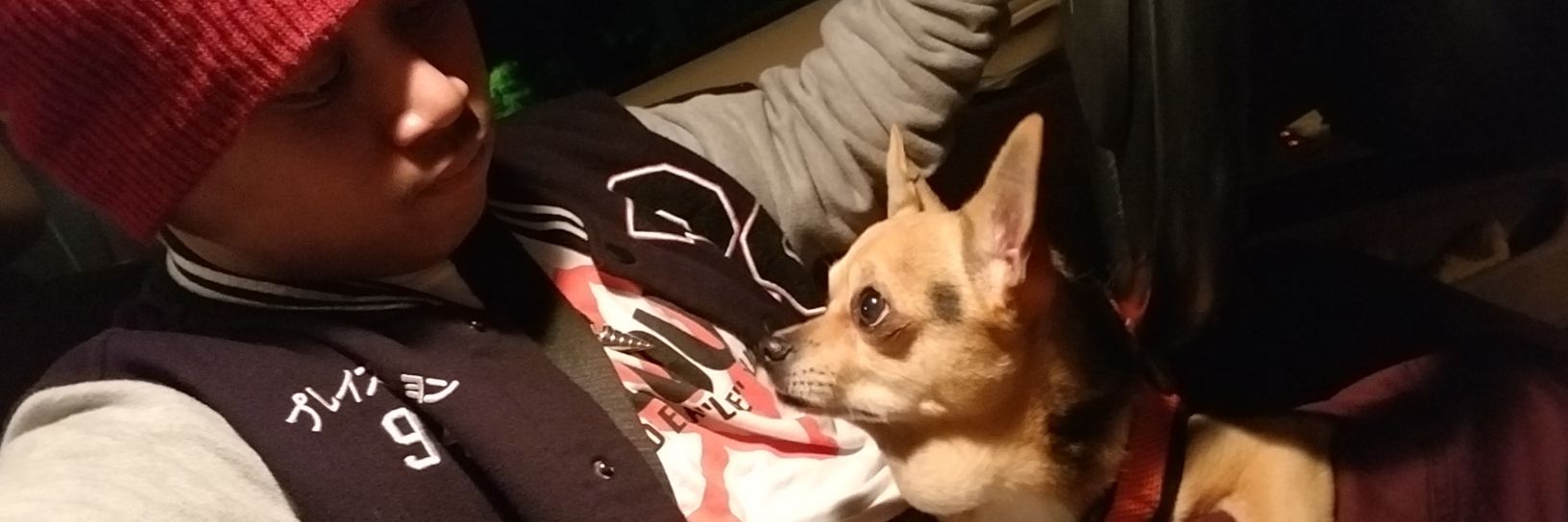 🇩‌🇦‌🇷‌🇼‌🇮‌🇳‌ banner