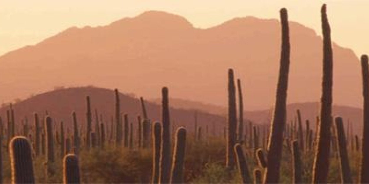 televisionhill's profile banner image