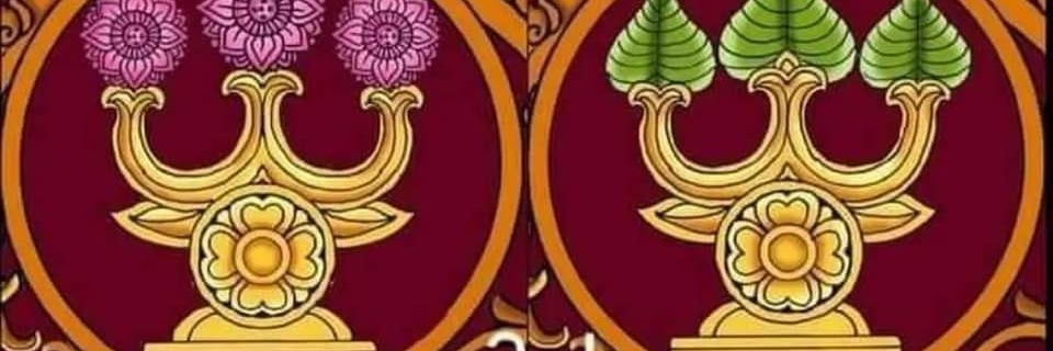 Divya Roy banner