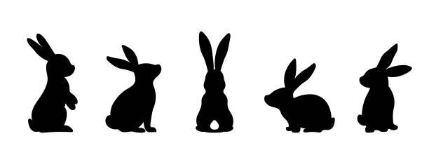 RabbitBirdz's profile banner image