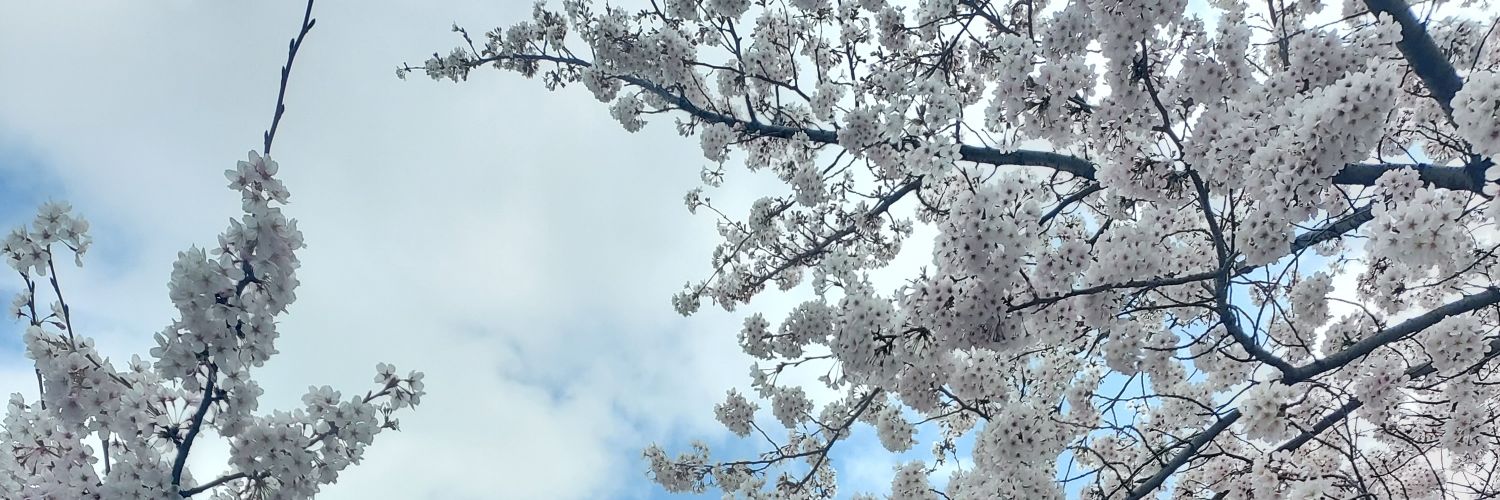 S72227888's profile banner image