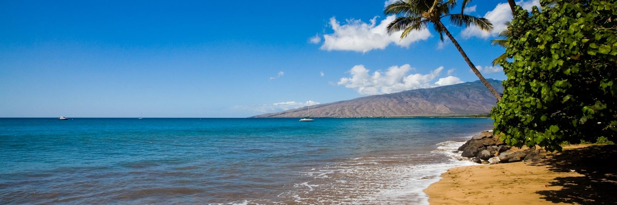 LoveTeachInspire (Kristi Hingerty, Ed.D) banner