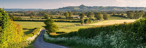 South West Clinical Schools banner