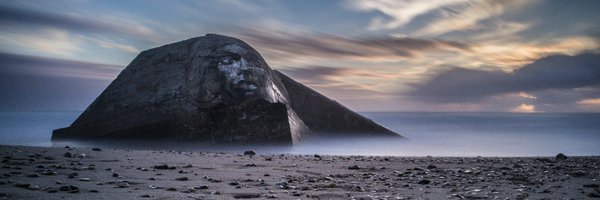 Tracy_Jentzsch Profile Banner