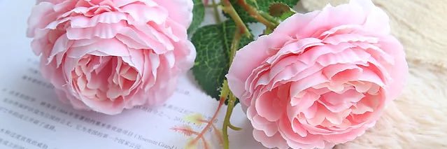 Remashri65_'s profile banner image