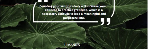 petermanda_19 Profile Banner