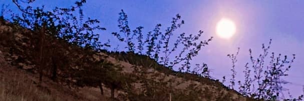 Creator_zenart's profile banner image