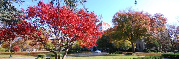 VPGerlach Profile Banner