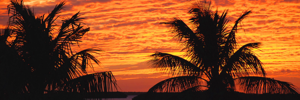 WhitefishBay's profile banner image