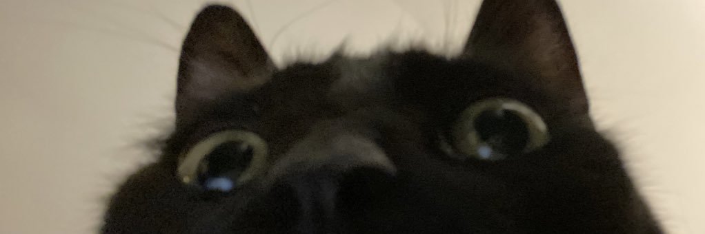 mawceline's profile banner image