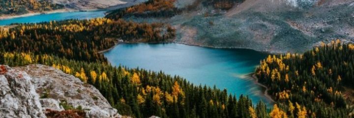 SyedaSanaFalak's profile banner image