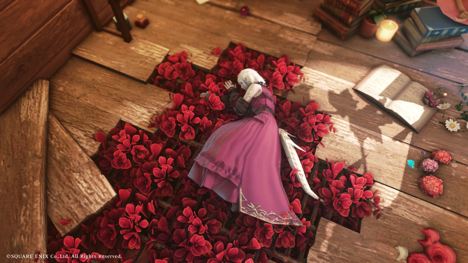 Lotus_dome's profile banner image