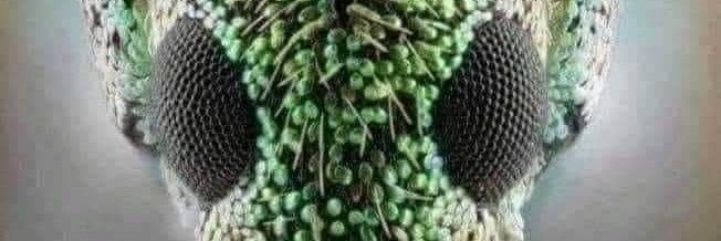 ramimezz's profile banner image