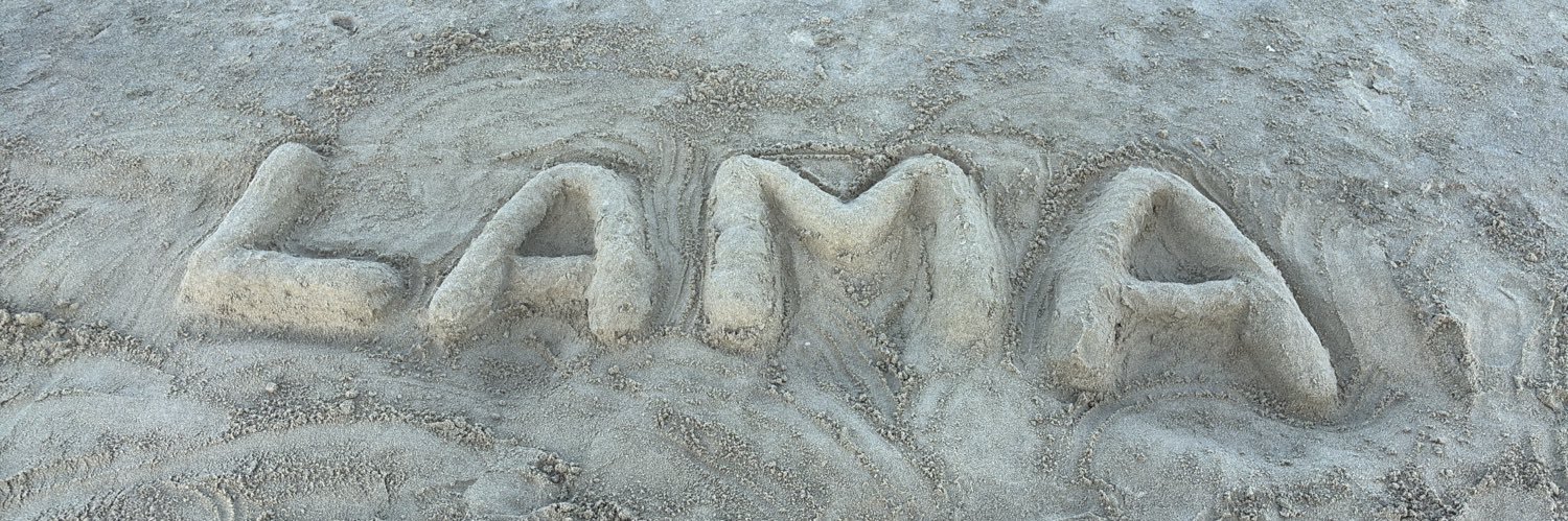 iilmo0_'s profile banner image
