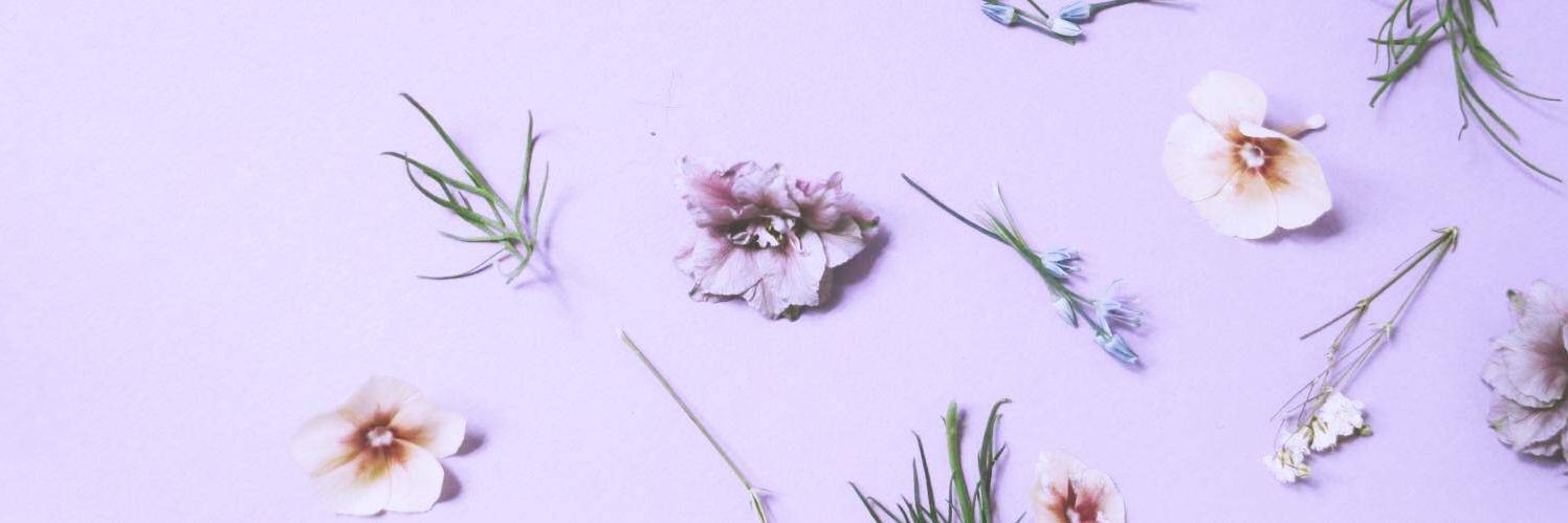 ichiruchir's profile banner image