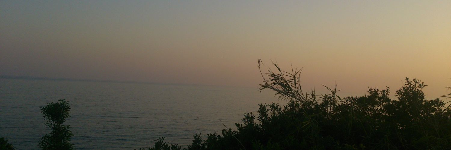 minari1010's profile banner image