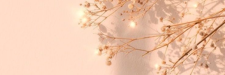 _kassmith's profile banner image